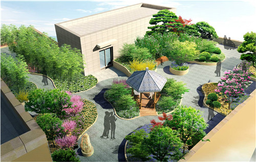 園冶杯專業獎:北大國際醫院屋頂花園設計