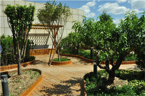 園冶杯專業獎:北大國際醫院屋頂花園設計