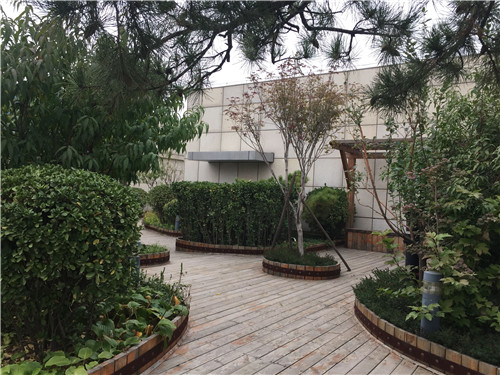 園冶杯專業獎:北大國際醫院屋頂花園設計