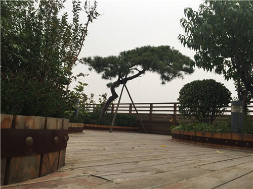 園冶杯專業獎:北大國際醫院屋頂花園設計