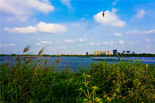 鄭文俊:桂林兩江四湖環(huán)城水系景觀建設(shè)思考