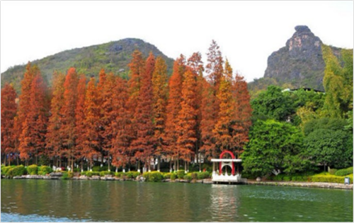 鄭文俊:桂林兩江四湖環(huán)城水系景觀建設(shè)思考