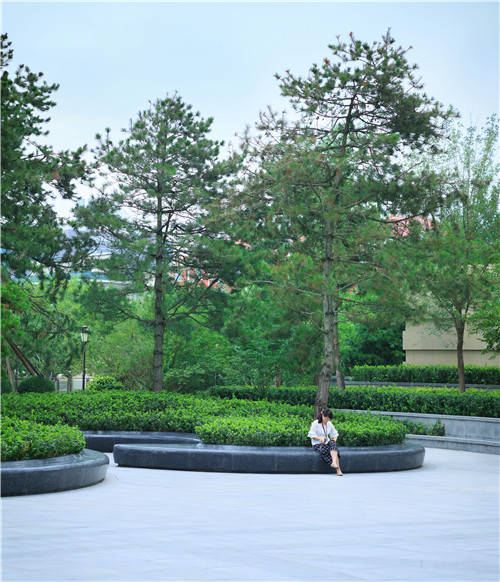 園冶杯專業獎:鑫恒寫字樓方案設計