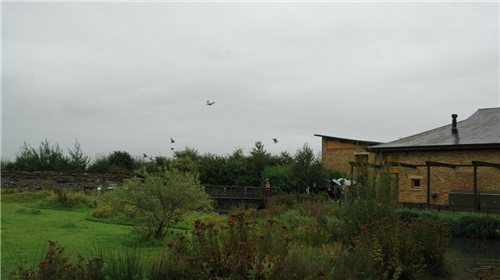 白祖華:東沙河上的《天鵝湖》