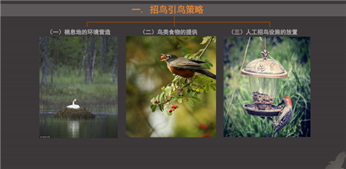 白祖華:東沙河上的《天鵝湖》