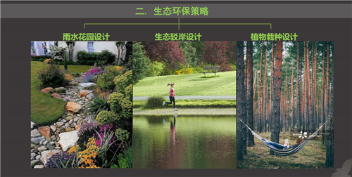 白祖華:東沙河上的《天鵝湖》