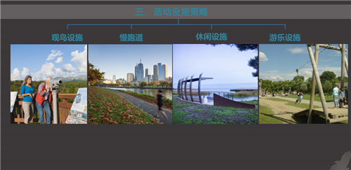 白祖華:東沙河上的《天鵝湖》