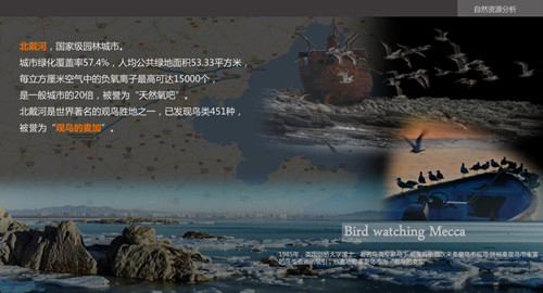 白祖華:東沙河上的《天鵝湖》