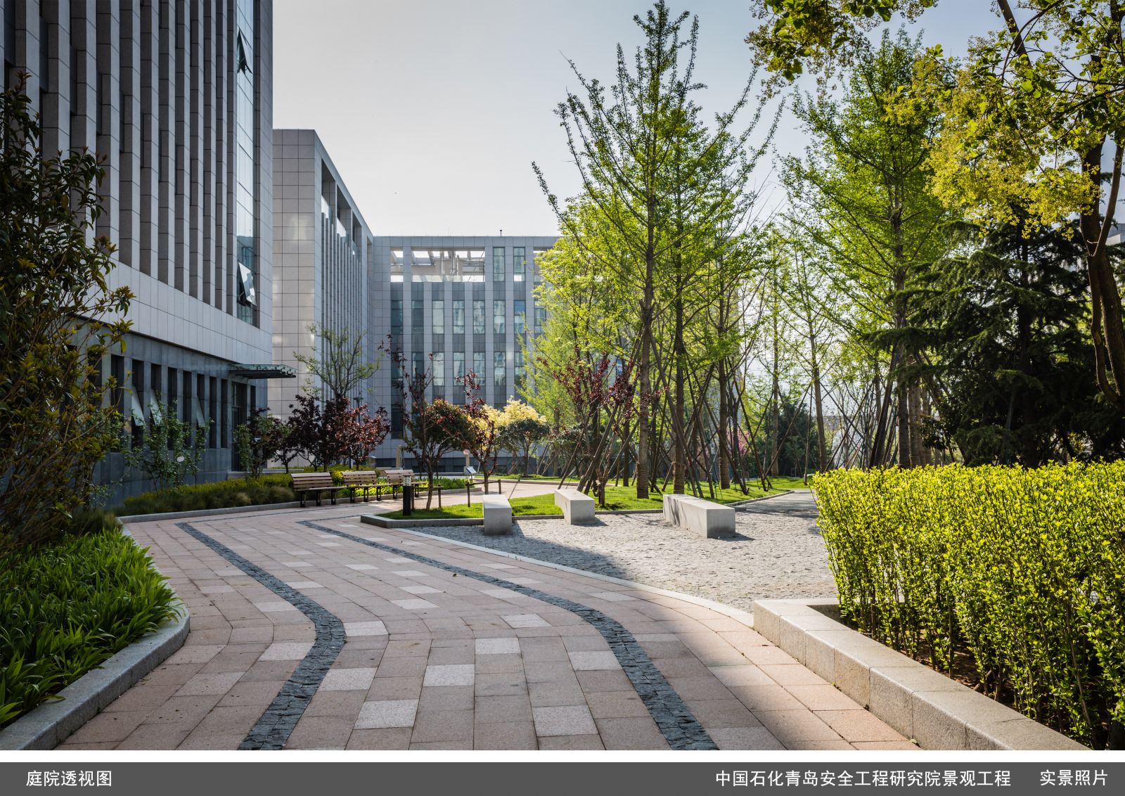 園冶杯專業獎:中國石化青島安全工程研究院景觀