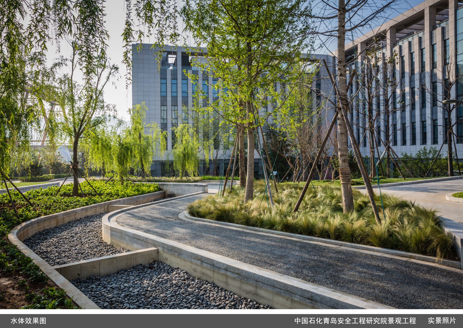 園冶杯專業獎:中國石化青島安全工程研究院景觀