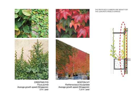 梁達(dá)民:紅黃藍(lán)綠-環(huán)境設(shè)計