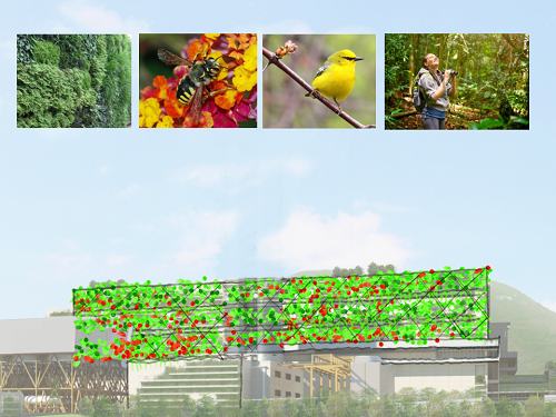 梁達(dá)民:紅黃藍(lán)綠-環(huán)境設(shè)計