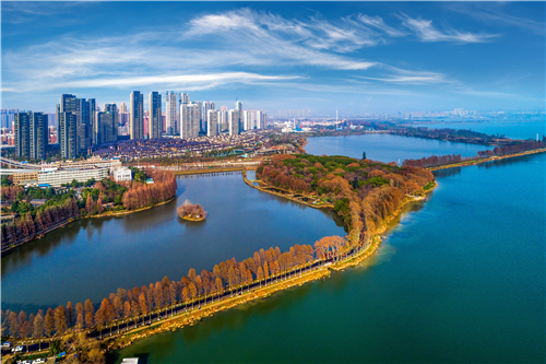 園冶杯專業獎:武漢環東湖綠道景觀方案設計