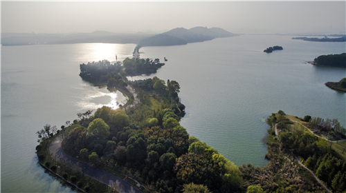 園冶杯專業獎:武漢環東湖綠道景觀方案設計