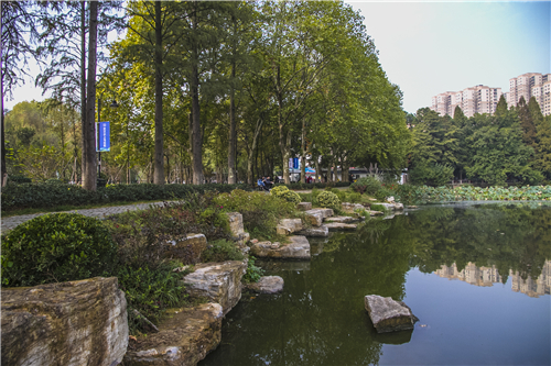 園冶杯專業獎:武漢環東湖綠道景觀方案設計