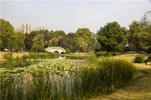 園冶杯專業獎:武漢環東湖綠道景觀方案設計