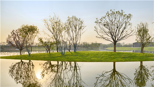 園冶杯專業獎:武陟龍澤湖公園