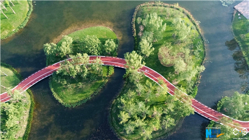 園冶杯專業獎:武陟龍澤湖公園