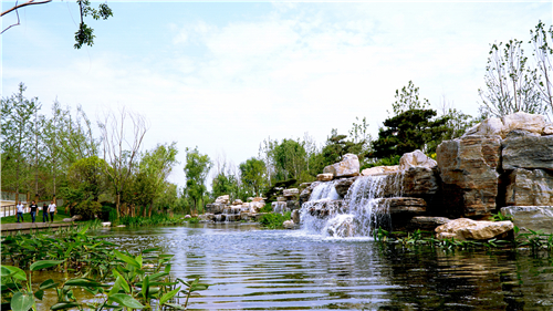 園冶杯專業獎:武陟龍澤湖公園