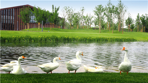 園冶杯專業獎:武陟龍澤湖公園