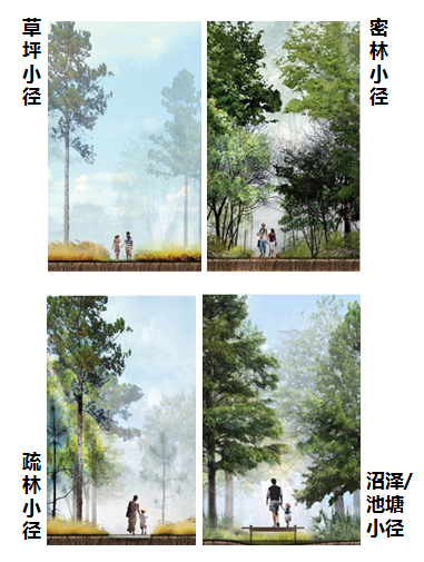 園冶杯專業獎:濟南章丘小東山濕地公園