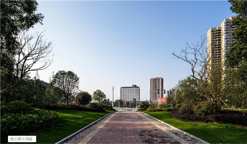 園冶杯專業獎:臨湘中心城區綠化改造工程