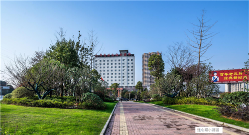 園冶杯專業獎:臨湘中心城區綠化改造工程