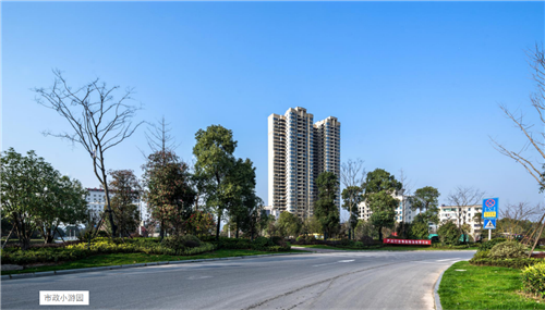 園冶杯專業獎:臨湘中心城區綠化改造工程