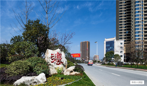 園冶杯專業獎:臨湘中心城區綠化改造工程