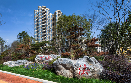 園冶杯專業獎:臨湘中心城區綠化改造工程