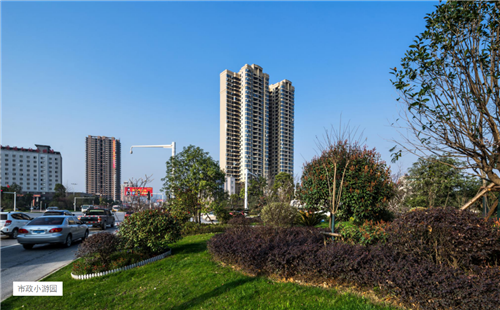 園冶杯專業獎:臨湘中心城區綠化改造工程