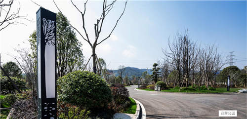 園冶杯專業獎:臨湘中心城區綠化改造工程