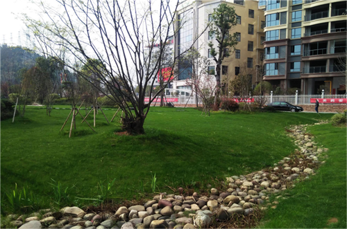 園冶杯專業獎:臨湘中心城區綠化改造工程