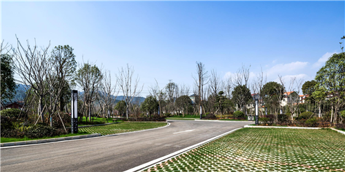 園冶杯專業獎:臨湘中心城區綠化改造工程