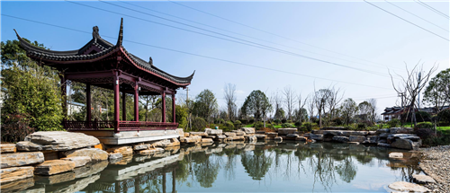 園冶杯專業獎:臨湘中心城區綠化改造工程