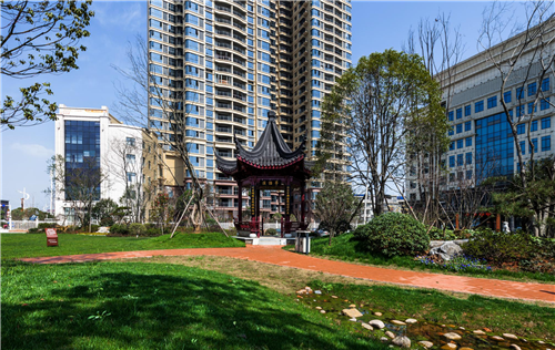 園冶杯專業獎:臨湘中心城區綠化改造工程