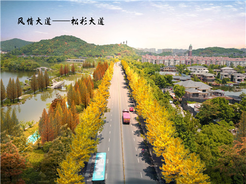 園冶杯專業獎:湘湖度假區景觀提升工程