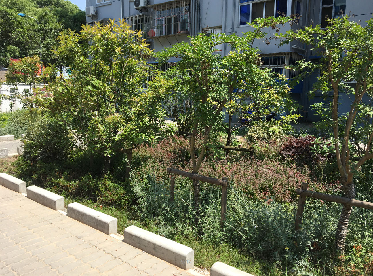 園冶杯專業獎:鎮江市江二社區海綿城市改造工程景觀設計