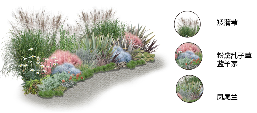 河北省第二屆園博會花境作品——戰爭反思錄