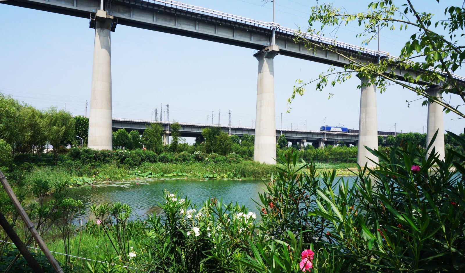 園冶杯專業(yè)獎:戴家湖公園生態(tài)修復工程