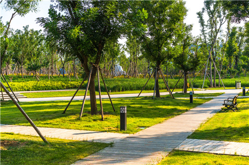 園冶杯專業獎:曾子廣場及洪山河景觀綠化