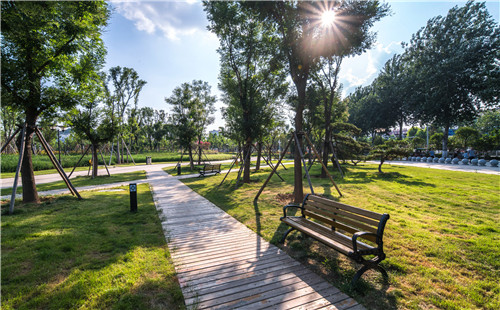 園冶杯專業獎:曾子廣場及洪山河景觀綠化