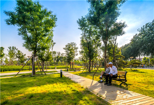 園冶杯專業獎:曾子廣場及洪山河景觀綠化