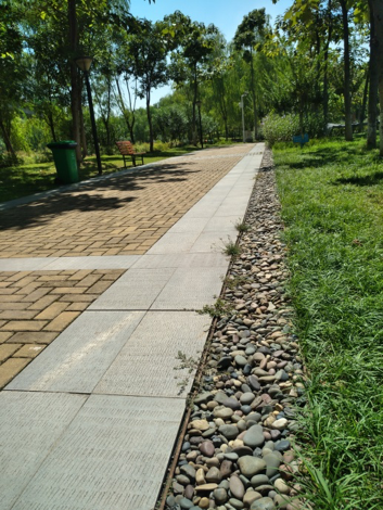 園冶杯專業(yè)獎:戴家湖公園生態(tài)修復工程