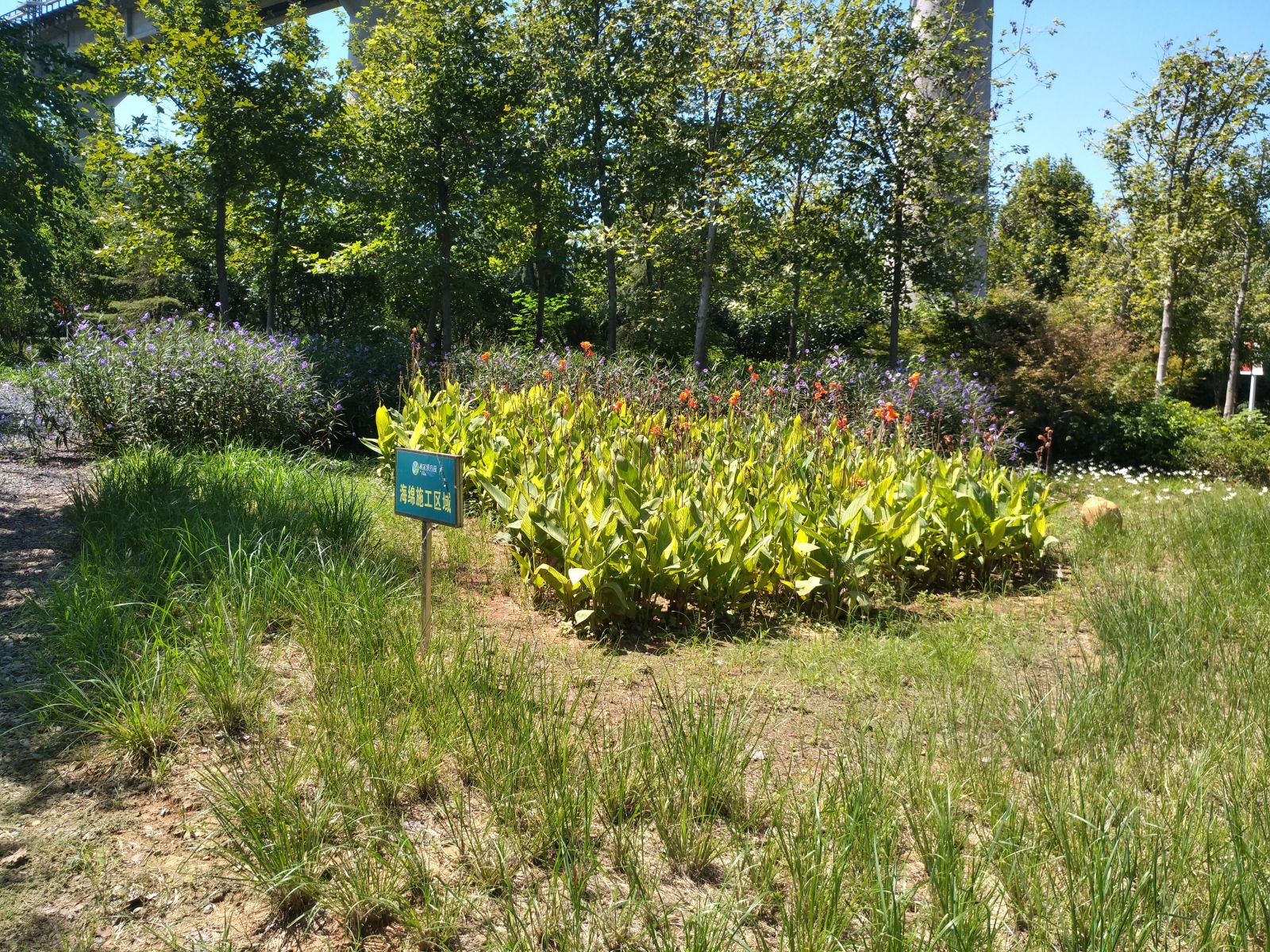 園冶杯專業(yè)獎:戴家湖公園生態(tài)修復工程