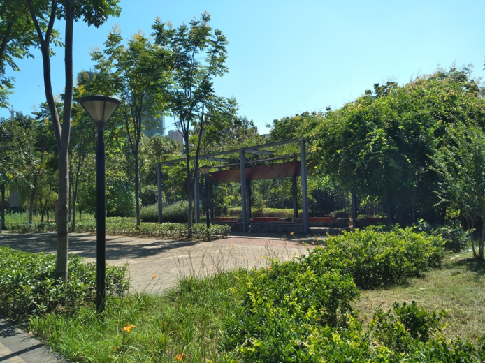 園冶杯專業(yè)獎:戴家湖公園生態(tài)修復工程