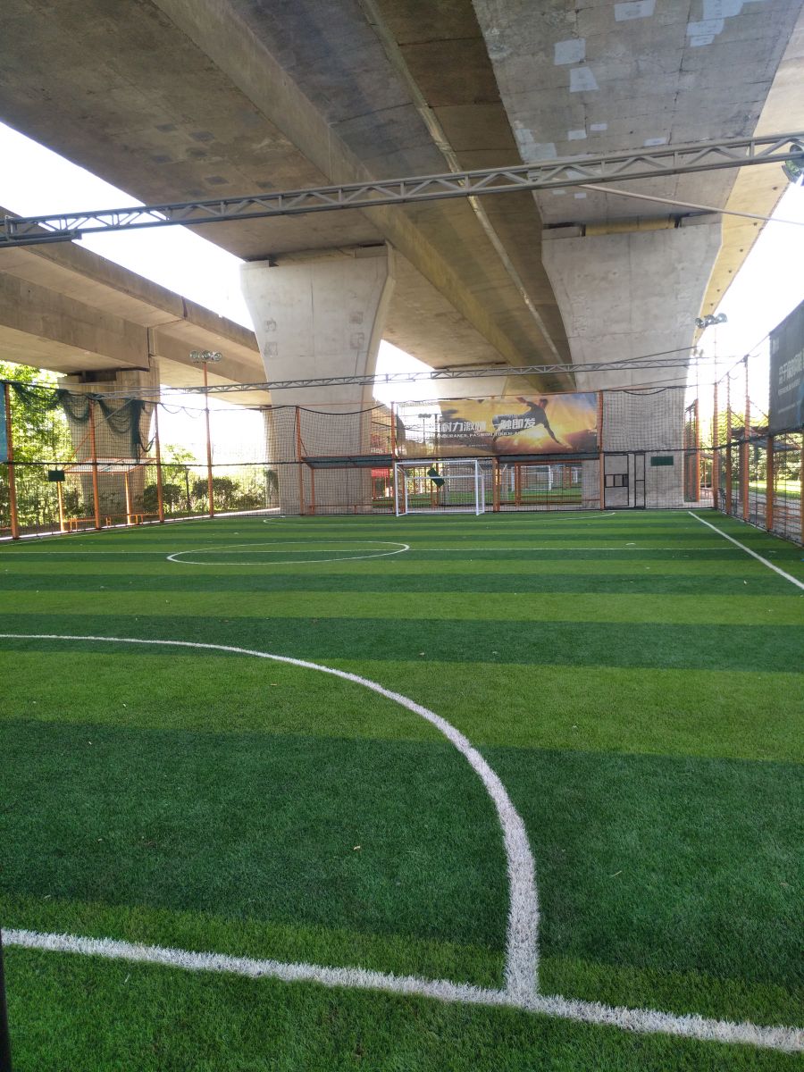 園冶杯專業(yè)獎:戴家湖公園生態(tài)修復工程