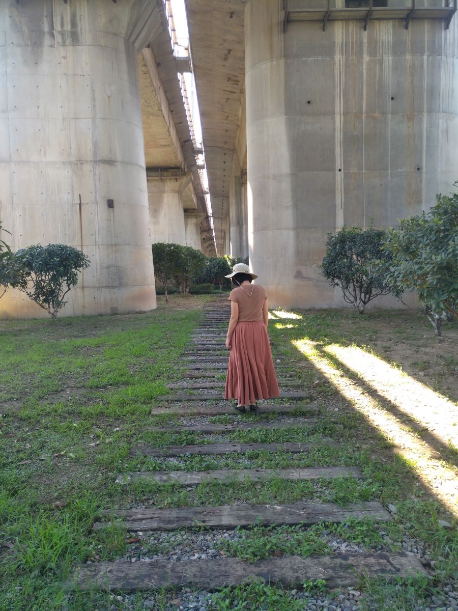 園冶杯專業(yè)獎:戴家湖公園生態(tài)修復工程