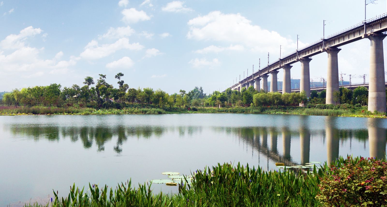 園冶杯專業(yè)獎:戴家湖公園生態(tài)修復工程