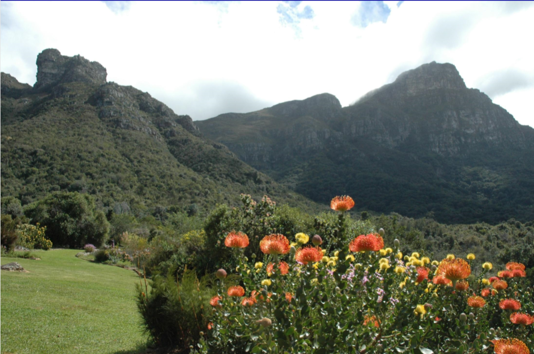包滿珠:淺談城市建設與自然生態系統的關系